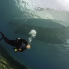 Scientist Renee Carlton conducting ocean acidification research.