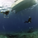 Scientists ascending from a dive.