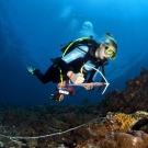 Kristin Stolberg conducting benthic survey.