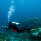 Fellow Badi Samaniego conducting a fish survey.