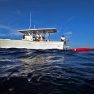 Scientists surfacing from a dive.