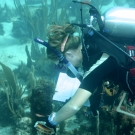 Amanda Williams mesuring dictyota algae.