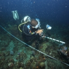 Scientific diver takes a phototransect.