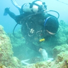 Scientific diver taking a quadrat.