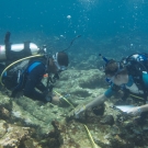 Members of the Science team conduct a transect survey.