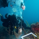 Members of the Science team conduct a quadrat.