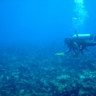dsc00984