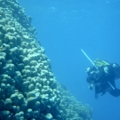 dsc01257