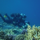 dsc01334