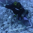 quadrat-survey-2
