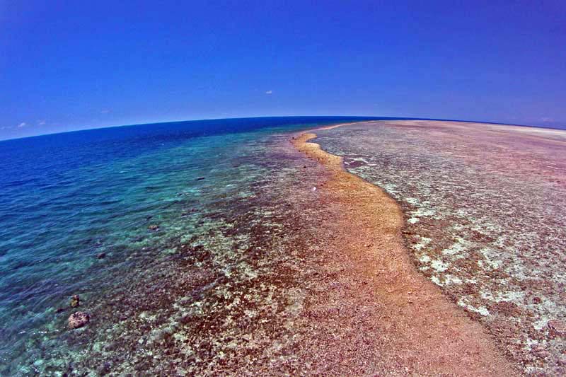 Portrait of the Great Barrier Reef taken from a drone surveying the reef - © William Robbins/ LOF