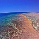 Portrait of the Great Barrier Reef taken from a drone surveying the reef - © William Robbins/ LOF