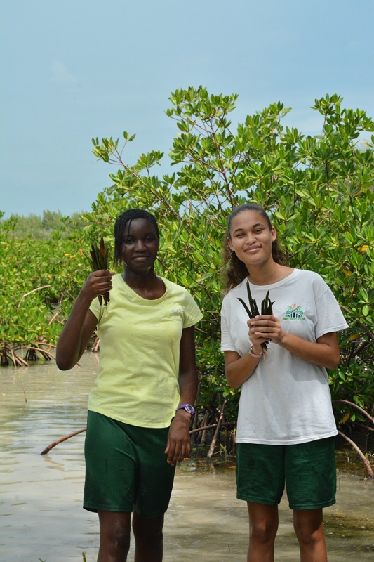 It looks like these students from Forest Heights Academy have found more than enough mangrove seedlings to plant when they return to the classroom.
