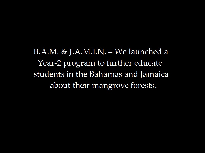 bam-jamin-group