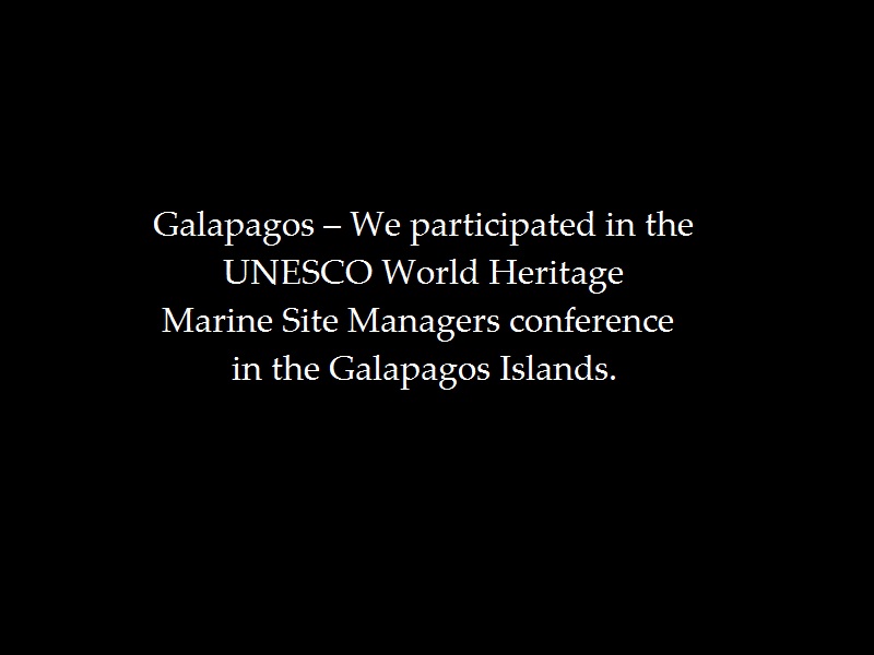 galapagos-group