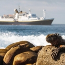 Managers of Marine World Heritage sites from around the world met in the Galápagos aboard the Lindblad Expeditions National Geographic Endeavour. (© Daniel Correia/UNESCO)