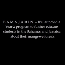 bam-jamin-group