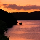 Sunset of Neiafu Harbor in Vava'u