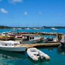 The fishing boats in Neiafu Harbor in Vava'u.