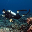 Kate Fraser conducting a fish survey.