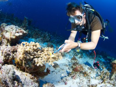 Taking a coral sample