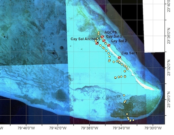 A Full Day Of Cay Sal Bank Coral Reef Research Global Reef Expeditionliving Oceans Foundation