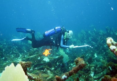 Stopher Slade conducts a fish survey