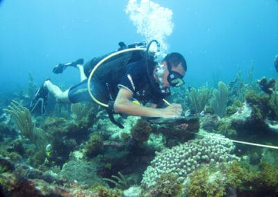 Graeme Browne conducts a benthic survey