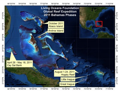 2011 Bahamas Global Reef Expeditions