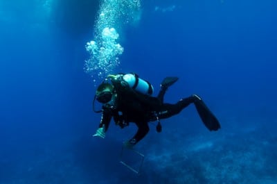 Christian Clark, North American Rolex Scholar and Living Oceans Foundation research team member