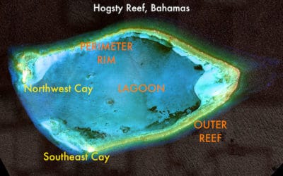Satellite image of Hogsty Reef and its key components