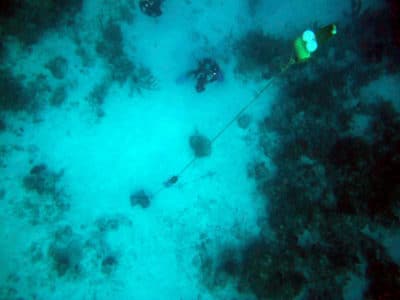 The deployed Recording Doppler Current Profiler (RDCP) as seen from above