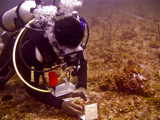 Heins Best taking conch measurements