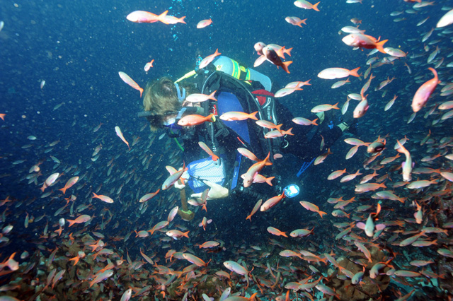 Dr. Bruckner collects samples at Wolf Island Dr. Bruckner collects samples at Wolf Island