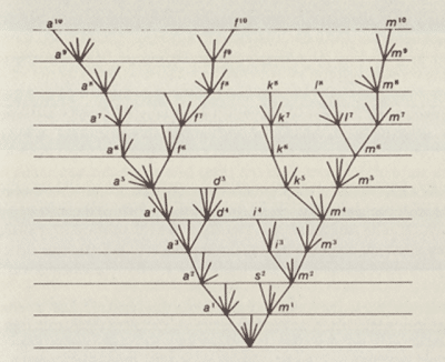 Origin of Species illustration