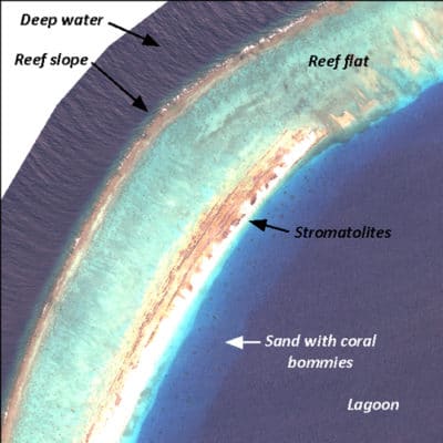 A close-up of the Worldview-2 satellite image showing the stromatolites