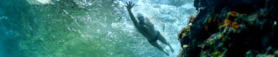 Lewis Pugh Swims the Seven Seas for Ocean Conservation
