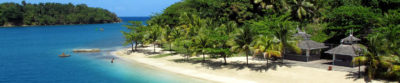 Restoring Jamaica’s Pedro Banks