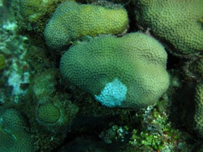 IMG_1207-e1376292603550