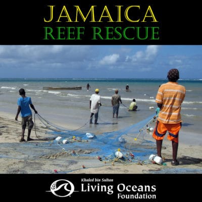 LOF_Jamaica_JacketFront