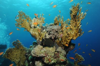 DSC_1369-e1376292161259