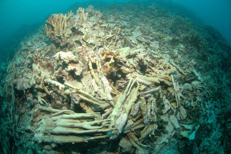 Tsunami-4-shatter-Helio1