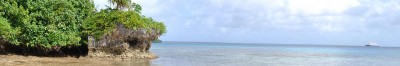 Back in Tonga