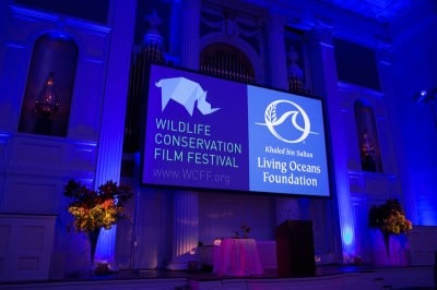 WCFF Lifetime Achievement Awards Gala