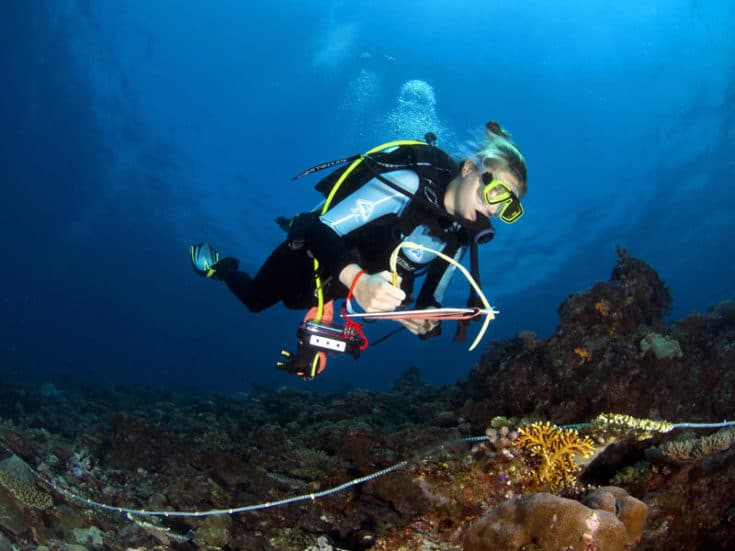 Scientific diver conducting benthic reef survey at Solomon Islands