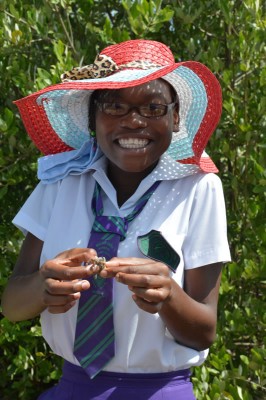 Mangrove Education and Restoration