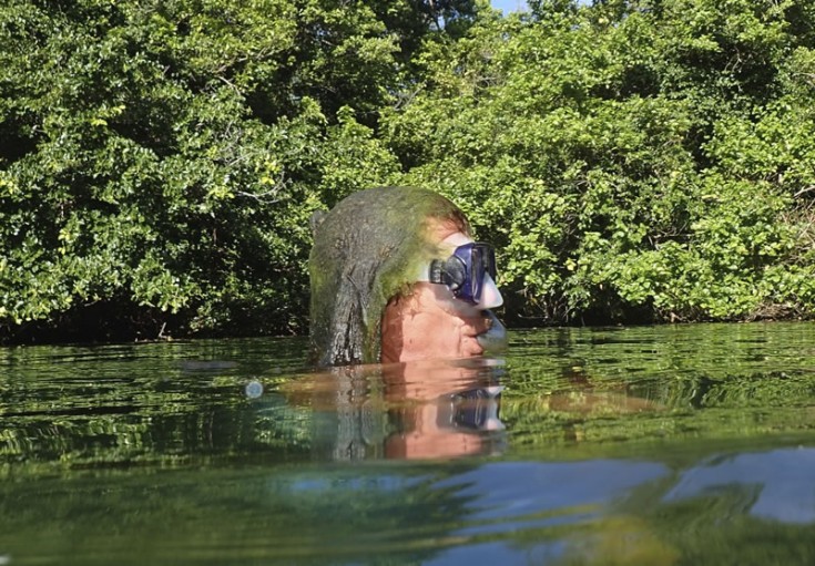 Marine Lakes of Angaur, Palau - (KSLOF)Living Oceans Foundation