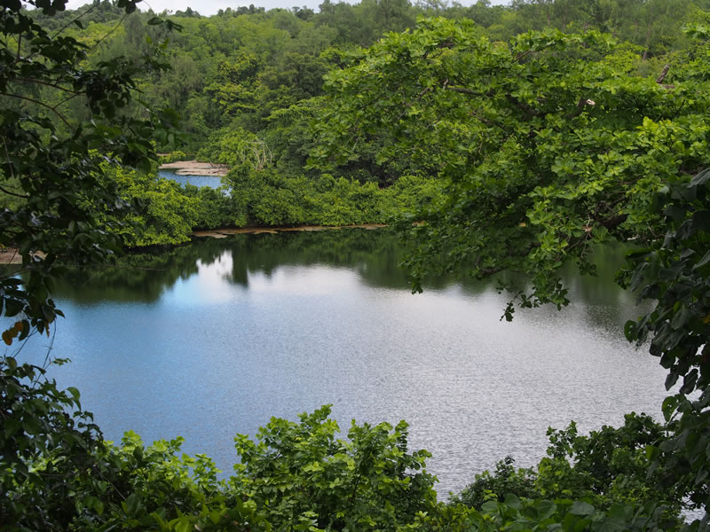 Marine Lakes of Angaur, Palau (KSLOF)Living Oceans Foundation