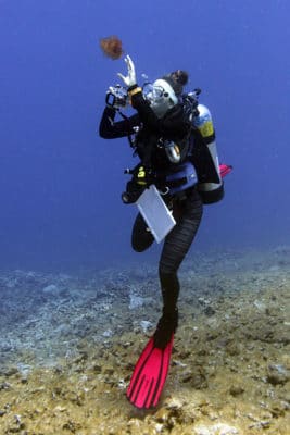 Benthic scientist, Samantha Clements, photographs an algal specimen for collection.