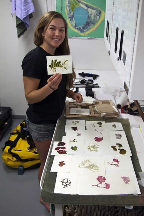 Samantha organizes algal pressings from the Global Reef Expedition’s herbarium.